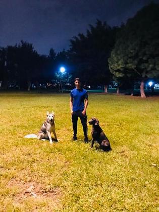 Hombre Soltero de  Zapopan, Lerrue