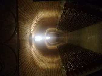 Hombre Soltero de  Zapopan, Abraham 1