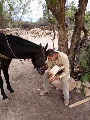 Hombre Separado de  Otra Ciudad - Jalisco, ernesto48