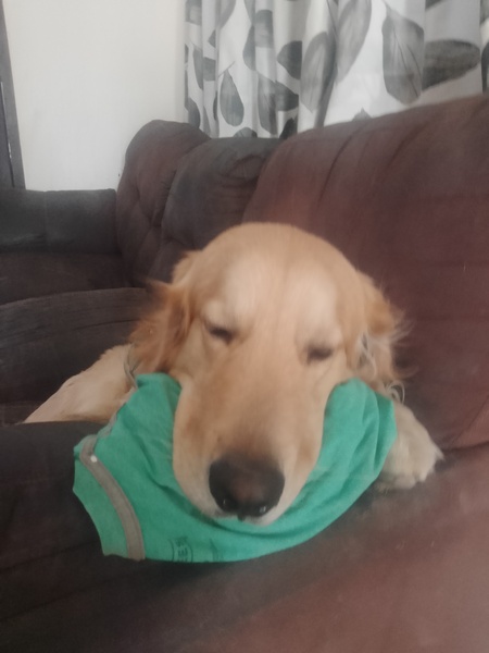 Hombre Divorciado de  Zapopan, cesar barrera